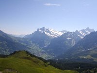 CH, Bern, Grindelwald, Kleine Scheidegg 4, Saxifraga-Bart Vastenhouw