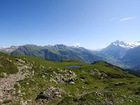 CH, Bern, Grindelwald, Kleine Scheidegg 5, Saxifraga-Bart Vastenhouw
