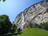 CH, Bern, Lauterbrunnen 2, Saxifraga-Bart Vastenhouw