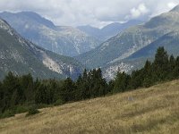 CH, Graubuenden, Zernez, SNP, Alp de la Schera 2, Saxifraga-Jan van der Straaten