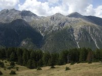 CH, Graubuenden, Zernez, SNP, Alp de la Schera 3, Saxifraga-Jan van der Straaten