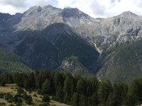CH, Graubuenden, Zernez, SNP, Alp de la Schera 4, Saxifraga-Jan van der Straaten