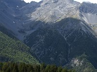 CH, Graubuenden, Zernez, SNP, Alp de la Schera 5, Saxifraga-Jan van der Straaten