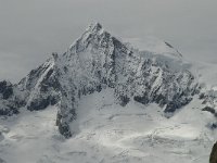 CH, Wallis, Fiesch, Eggishorn, Aletschhorn 3, Saxifraga-Willem van Kruijsbergen