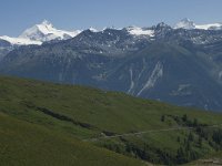 CH, Wallis, Randa, Dent Blanche 1, Saxifraga-Willem van Kruijsbergen