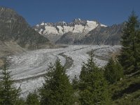 CH, Wallis, Riederalp, Grosser Aletschgletscher 13, Saxifraga-Willem van Kruijsbergen