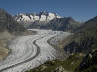 CH, Wallis, Riederalp, Grosser Aletschgletscher 2, Saxifraga-Willem van Kruijsbergen