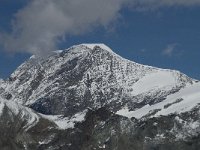 CH, Wallis, Zermatt, Gornergrat, Alphubel 1, Saxifraga-Willem van Kruijsbergen