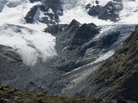 CH, Wallis, Zermatt, Gornergrat, Breithorngletscher 1, Saxifraga-Willem van Kruijsbergen