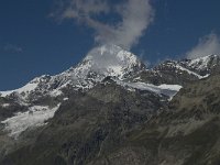 CH, Wallis, Zermatt, Gornergrat, Dent Blanche 1, Saxifraga-Willem van Kruijsbergen