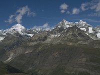 CH, Wallis, Zermatt, Gornergrat, Dent Blanche-Ober Gabelhorn 1, Saxifraga-Willem van Kruijsbergen
