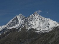 CH, Wallis, Zermatt, Gornergrat, Dom-Taschhorn 1, Saxifraga-Willem van Kruijsbergen