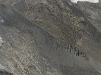 CH, Wallis, Zermatt, Gornergrat, Gornergletscher 2, moraine, Saxifraga-Willem van Kruijsbergen