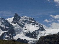CH, Wallis, Zermatt, Gornergrat, Klein Matterhorn 1, Saxifraga-Willem van Kruijsbergen