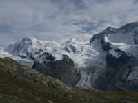 CH, Wallis, Zermatt, Gornergrat, Liskamm-Zwillinge 1, Saxifraga-Willem van Kruijsbergen