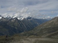 CH, Wallis, Zermatt, Gornergrat, Mattertal 2, Saxifraga-Willem van Kruijsbergen