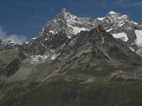 CH, Wallis, Zermatt, Gornergrat, Ober Gabelhorn-Wellenkuppe 1, Saxifraga-Willem van Kruijsbergen