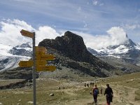 CH, Wallis, Zermatt, Gornergrat, Riffelhorn 1, Saxifraga-Willem van Kruijsbergen