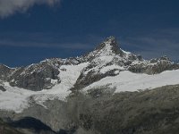 CH, Wallis, Zermatt, Gornergrat, Zinalrothorn 2, Saxifraga-Willem van Kruijsbergen