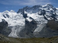 CH, Wallis, Zermatt, Gornergrat, Zwillinge-Breithorn 3, Saxifraga-Willem van Kruijsbergen