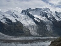CH, Wallis, Zermatt, Gornergrat, Zwillinge-Breithorn 4, Saxifraga-Willem van Kruijsbergen