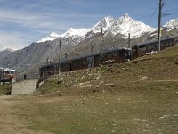 CH, Wallis, Zermatt, Gornergratbahn 4, Saxifraga-Willem van Kruijsbergen
