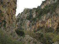 GR, Crete, Rethimnon, Patsos, Antonio Gorge 3, Saxifraga-Willem van Kruijsbergen