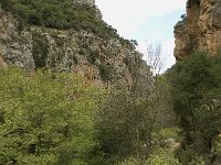 GR, Crete, Rethimnon, Patsos, Antonio Gorge 4, Saxifraga-Willem van Kruijsbergen