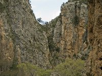 GR, Crete, Rethimnon, Patsos, Antonio Gorge 5, Saxifraga-Willem van Kruijsbergen