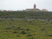 P, Faro, Vila do Bispo, Cabo Sao Vicente 11, Saxifraga-Willem van Kruijsbergen