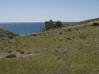 E, Almeria, Nijar, Cabo de Gata 94, Saxifraga-Willem van Kruijsbergen