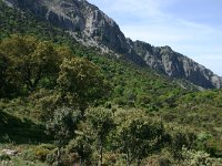 E, Cadiz, Grazalema, Sierra del Pinar 2, Saxifraga-Dirk Hilbers