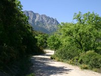 E, Cadiz, Grazalema, Sierra del Pinar 4, Saxifraga-Dirk Hilbers