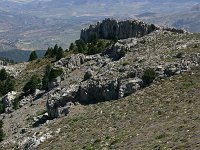 E, Cadiz, Ronda, Sierra de las Nieves 8, Saxifraga-Dirk Hilbers