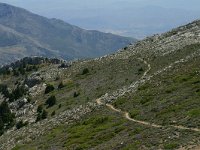 E, Cadiz, Ronda, Sierra de las Nieves 9, Saxifraga-Dirk Hilbers