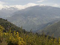 E, Granada, Orgiva, Sierra de Lujar 3, Saxifraga-Jan van der Straaten