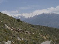E, Granada, Orgiva, Sierra de Lujar, Olias 14, Saxifraga-Willem van Kruijsbergen