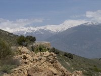 E, Granada, Orgiva, Sierra de Lujar, Olias 17, Saxifraga-Willem van Kruijsbergen