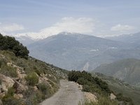 E, Granada, Orgiva, Sierra de Lujar, Olias 23, Saxifraga-Willem van Kruijsbergen