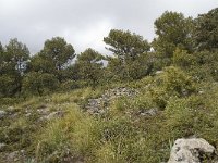 E, Malaga, El Burgo, Sierra de las Nieves 40, Saxifraga-Willem van Kruijsbergen