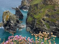 GB, Cornwall, Hayle, SW Coastpath, Hells Mouth 1, Saxifraga-Foto Fitis-Sytske Dijksen