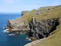 GB, Cornwall, Tintagel, SW Coastpath 3, Saxifraga-Foto Fitis-Sytske Dijksen