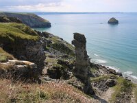 GB, Cornwall, Tintagel, SW Coastpath, Port Isaac 1, Saxifraga-Foto Fitis-Sytske Dijksen