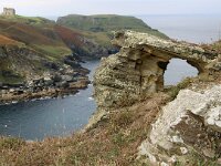 GB, Cornwall, Tintagel, SW Coastpath, Willapark 2, Saxifraga-Foto Fitis-Sytske Dijksen