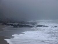 GB, Cornwall, Veryan, SW Coastpath, Carne Beach 1, Saxifraga-Foto Fitis-Sytske Dijksen