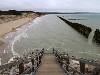 F, Pas-de-Calais, Wissant 40, Saxifraga-Foto Fitis-Sytske Dijksen