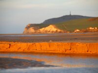 F, Pas-de-Calais, Wissant 47, Saxifraga-Foto Fitis-Sytske Dijksen