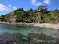 GB, Cornwall, Fowey, Gribbin 1, Saxifraga-Foto Fitis- Sytske Dijksen