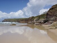 GB, Cornwall, Hayle 6, Saxifraga-Foto Fitis- Sytske Dijksen