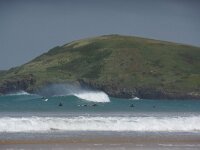 GB, Cornwall, Padstow 19, Saxifraga-Foto Fitis- Sytske Dijksen